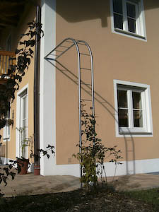 Edelstahl Rosenbogen